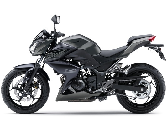 Фото мотоцикла Kawasaki Z300 ABS
